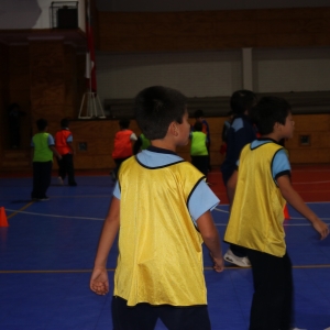 Día de la Actividad Física